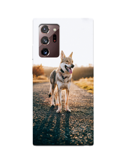 Picture of Samsung Galaxy Note 20 Ultra Custom Case